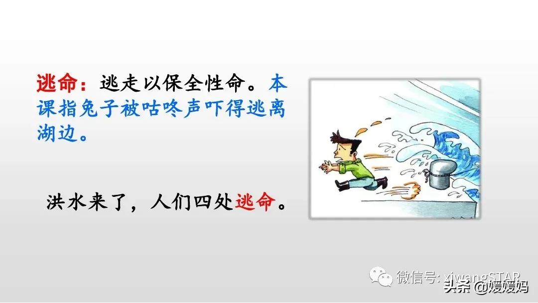 一年级下册20课咕咚,小学一年级语文下册咕咚视频