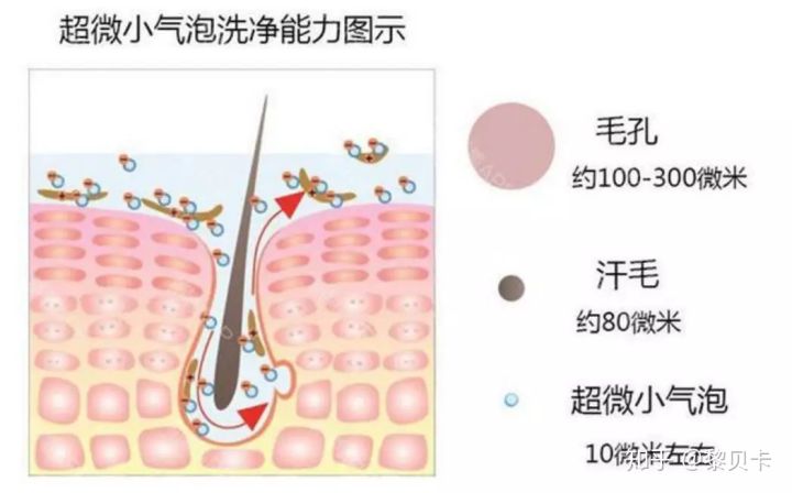 公认最好用的去黑头神器,网红推荐去黑头神器