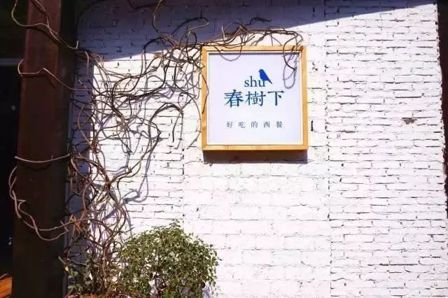 从早晨起来吃到晚上视频,合肥步行街早上吃啥