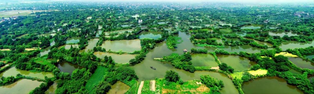 西溪湿地，对杭州意味着什么？