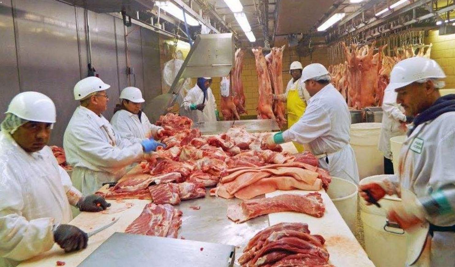 美国人贫穷为什么会胖,美国人为什么越吃越胖