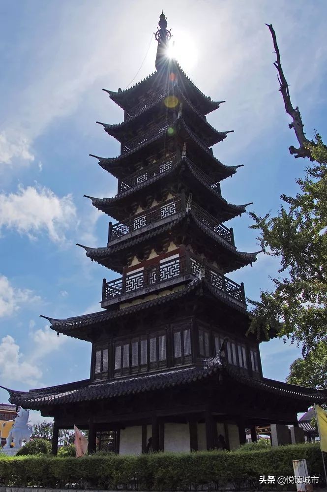 金秋赏“金”：新老照片对比金山发展老金山都不一定认得全