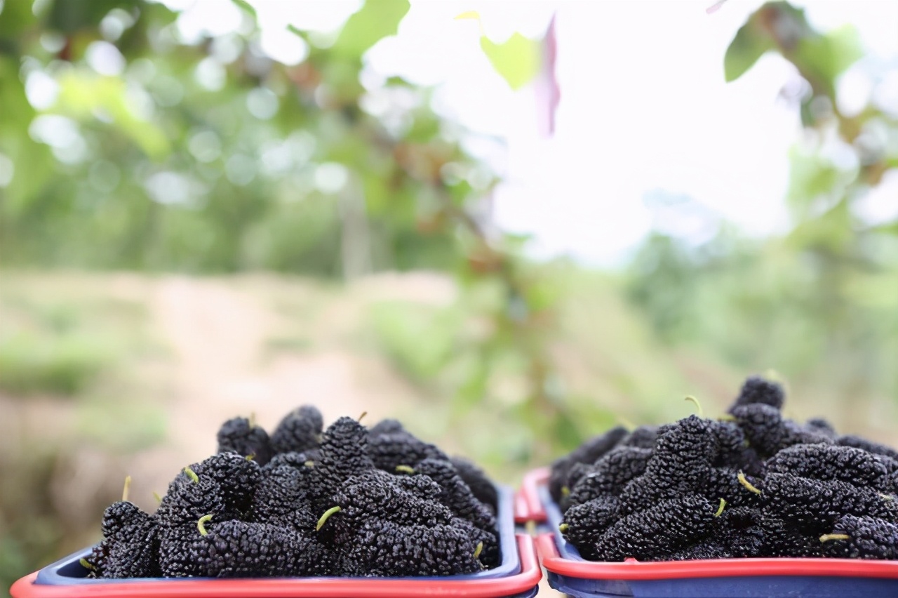 免费游云浮｜如云般洁白轻妙，浮动着向往的生活，云浮免费旅游