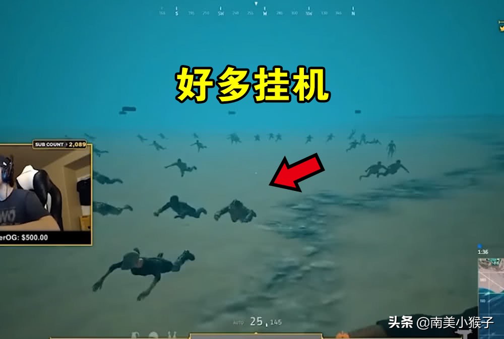 绝地求生的海里有什么？网红“鲲”上榜，你见过几个？