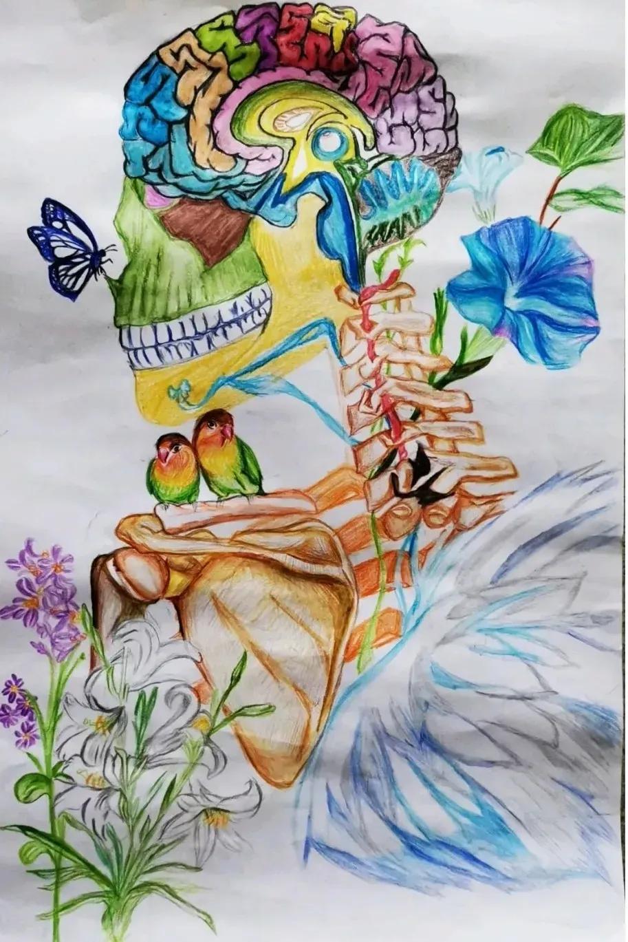 左手丹青，右手手术刀，985名校医学生笔记曝光！网友：这是学神级别的！