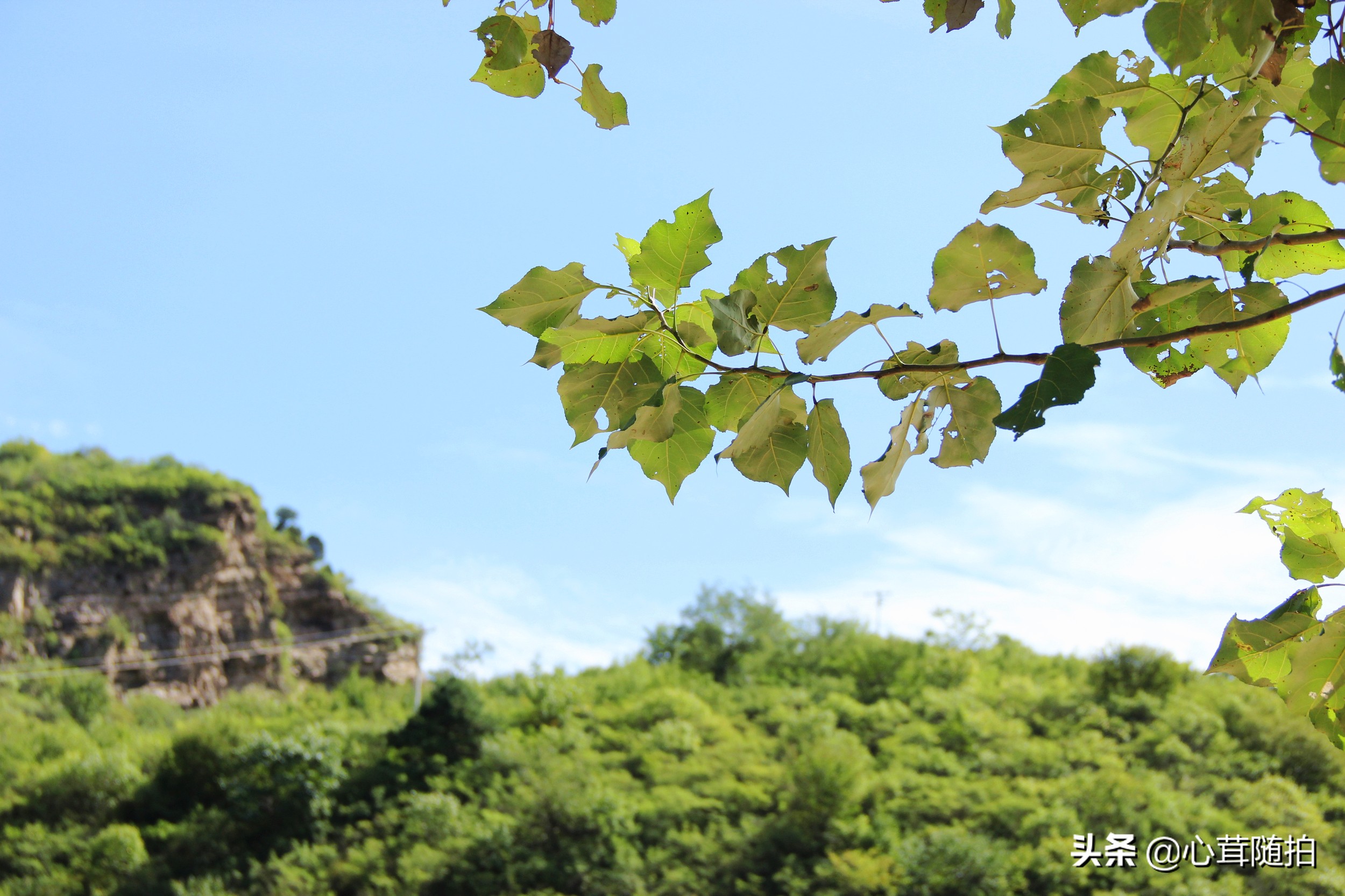 自驾白河湾,白河湾自然风景区自驾