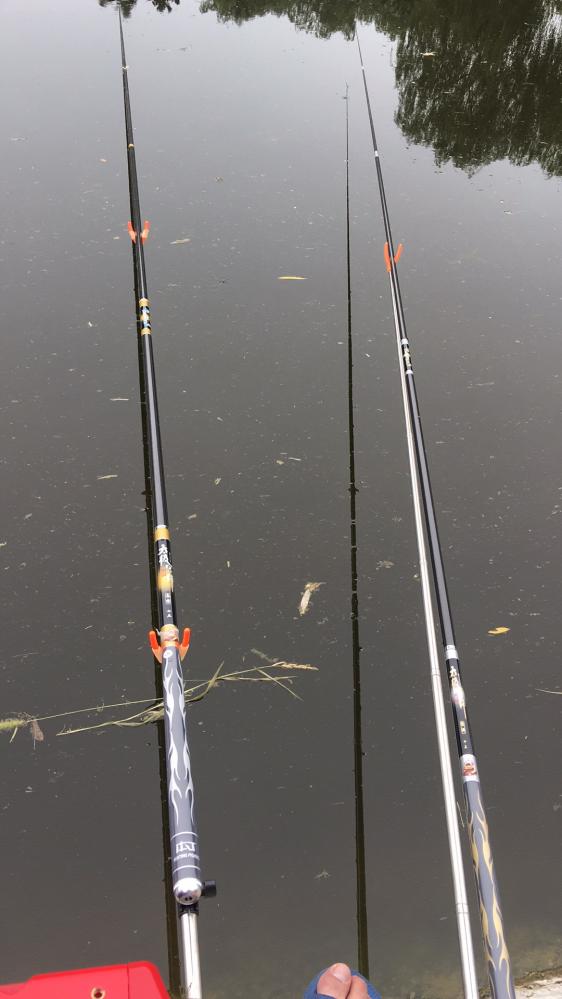 太极宗师轻禅版鱼竿,太极宗师鱼竿本汀