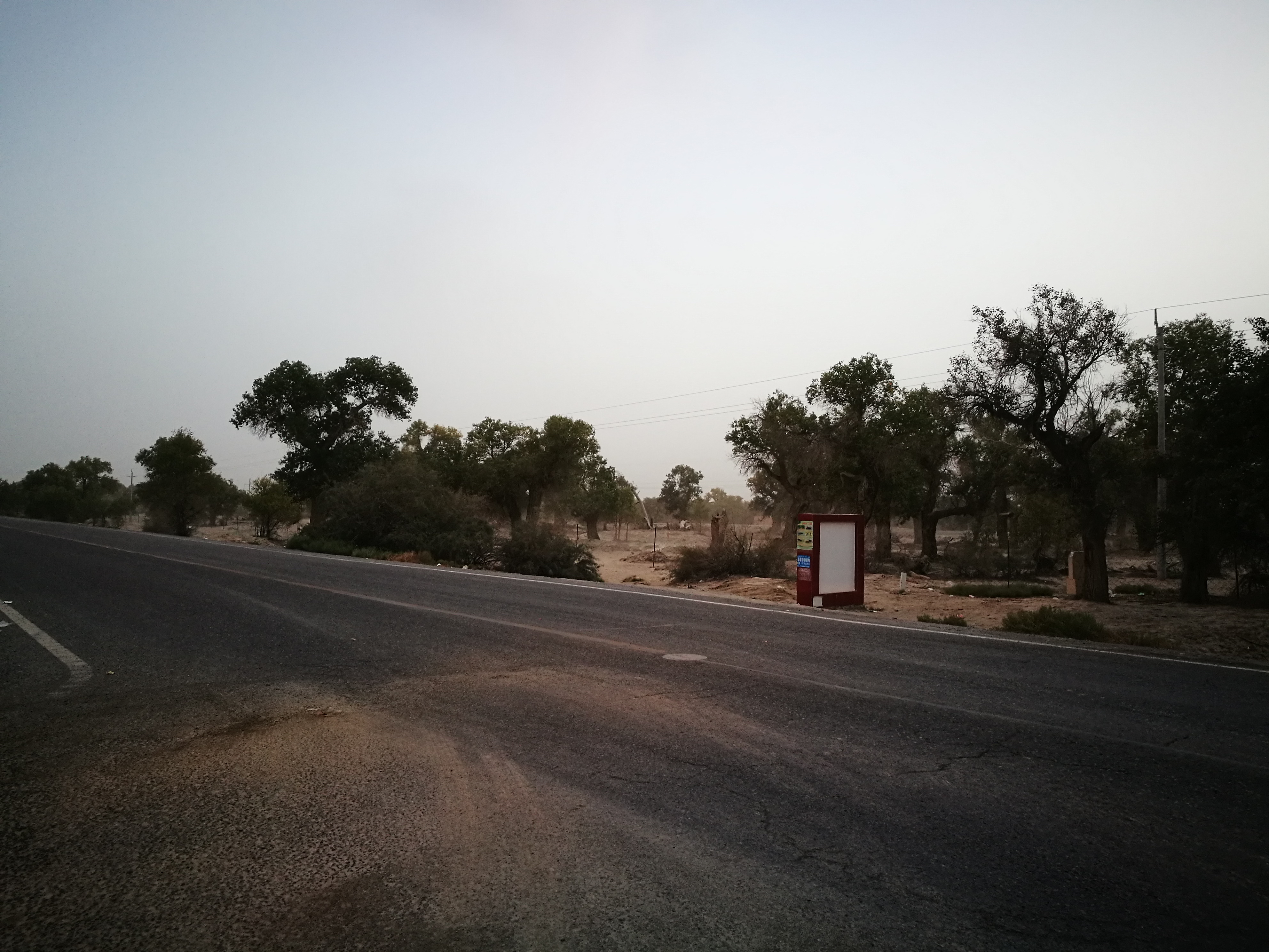 13000公里新手独驾*疆新**日记第23天——塔克拉玛干沙漠陷车自救