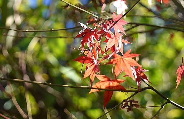 这个冬天特别冷没办法旅游,冬天这么冷的天还能出去玩吗