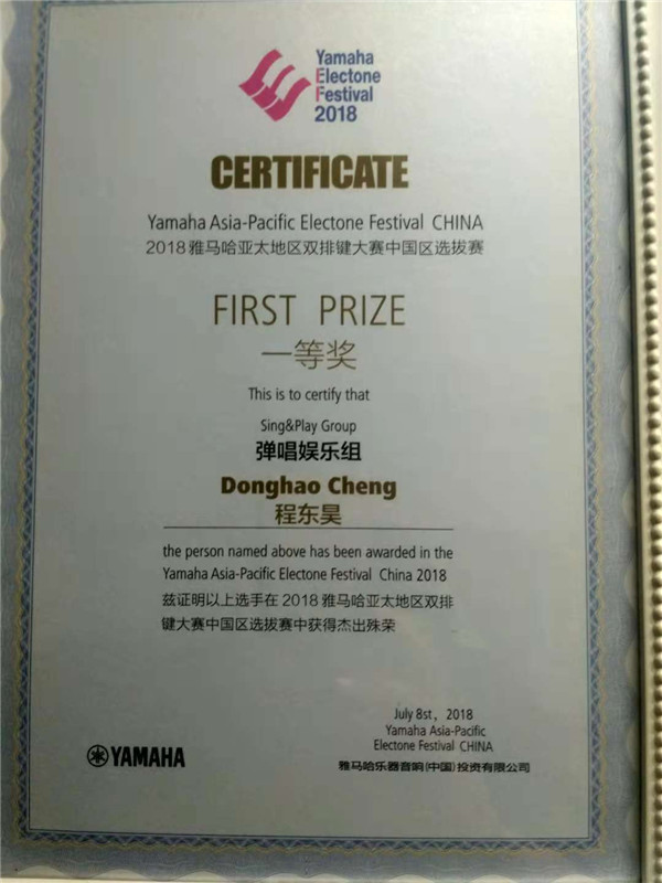 双排键电子琴盲人少年程东昊用音乐打开“世界”之窗