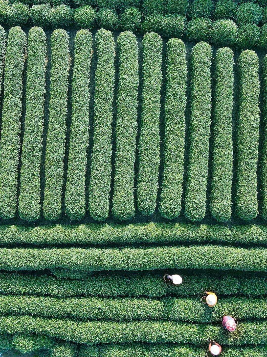 杭州出家,杭州出家需要什么条件