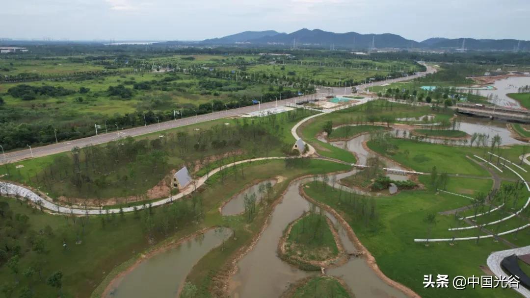 光谷生态大走廊二期工程花山,光谷生态大走廊算什么绿地