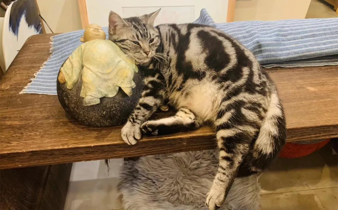 冯仑的恋爱史,冯仑谈孩子