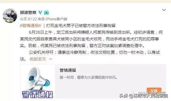 金毛咬死泰迪被打死后续,金毛咬死小狗被小狗主人打死