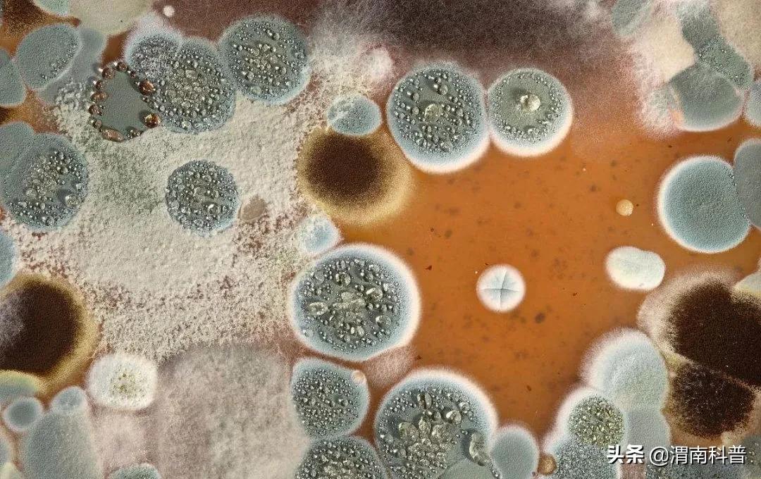 科普天天洗澡竟有两大危害,天天洗衣服衣服怎么还会脏