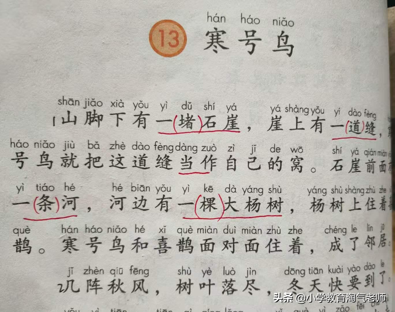 二年级上语文第五单元测试卷答案,二年级语文第五单元8大考点必背