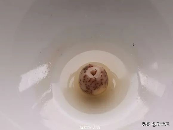 他用白醋泡了一颗星月，打灯一看，玉化了……