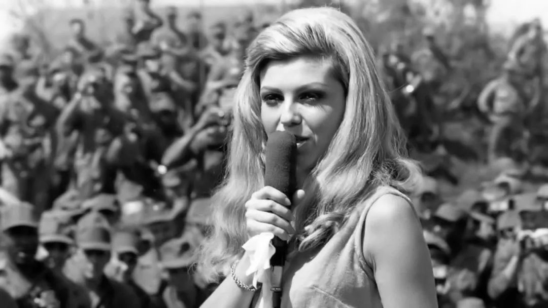 十大经典贝斯品牌,史上最强贝斯音乐视频