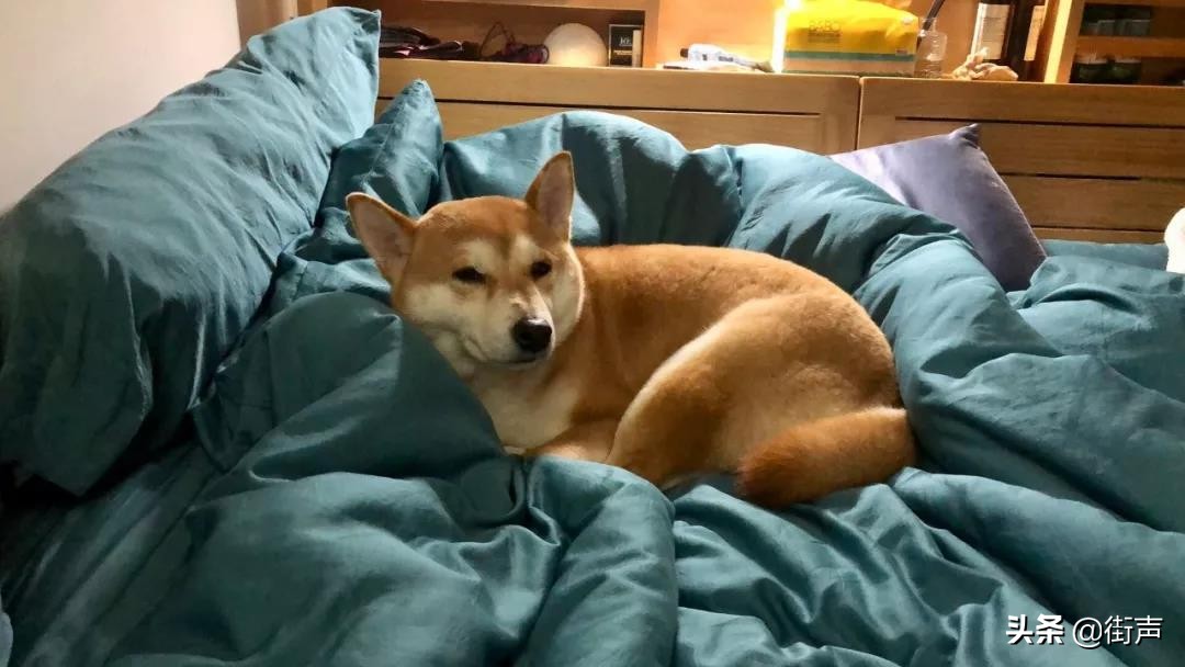 不再住地下室：9102新音乐人租房指南