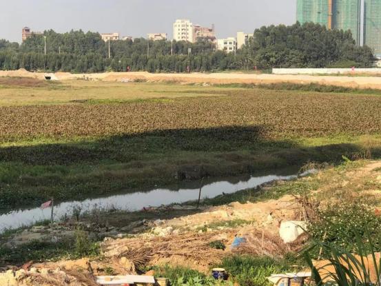 天地壹号估值,天地壹号融资