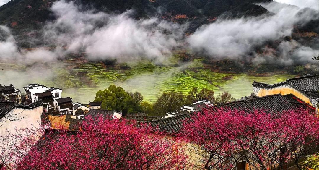 樱花烂漫时汉服少女,樱花烂漫时相遇