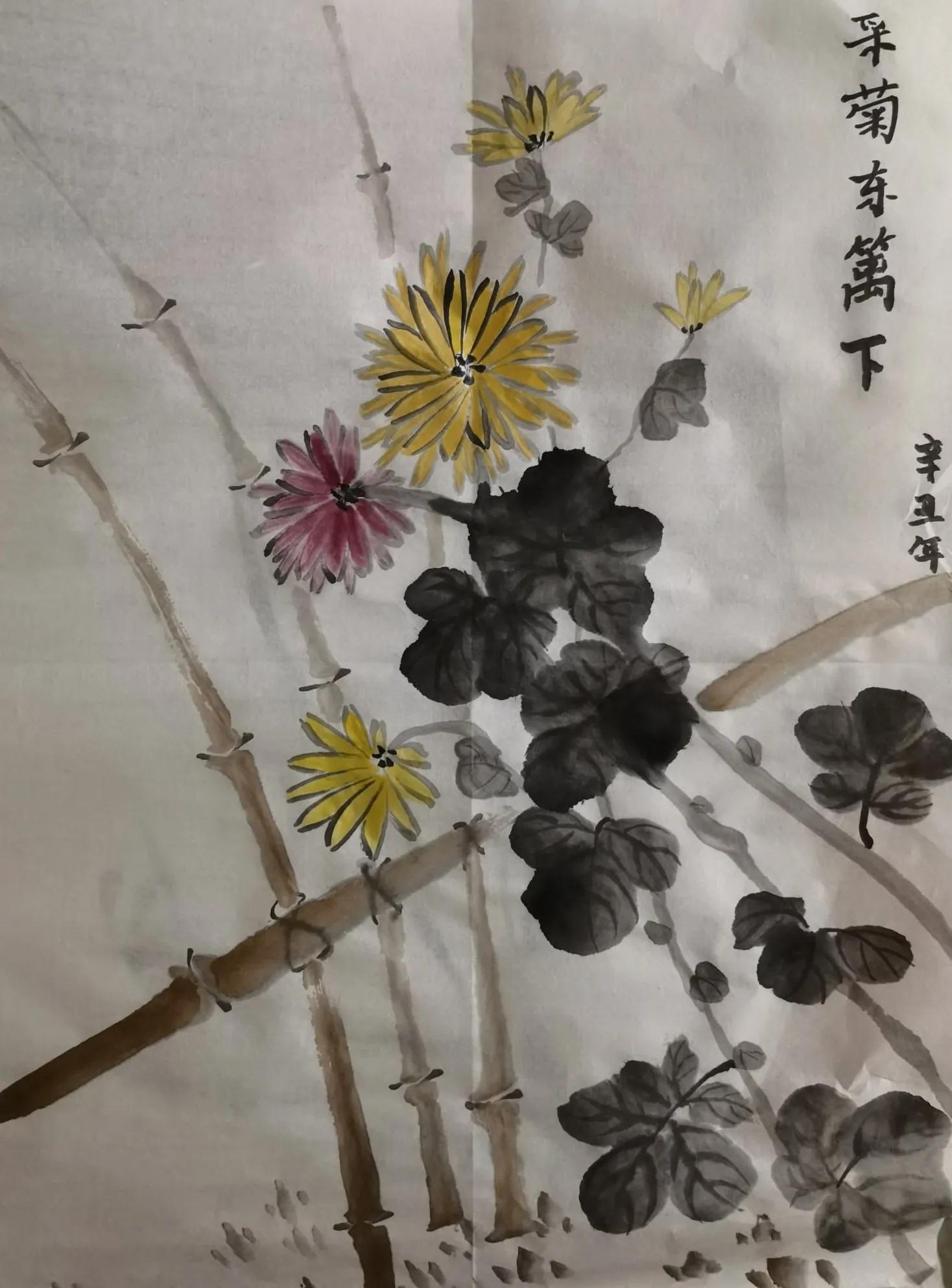 文化的定义有多少种,文化的定义