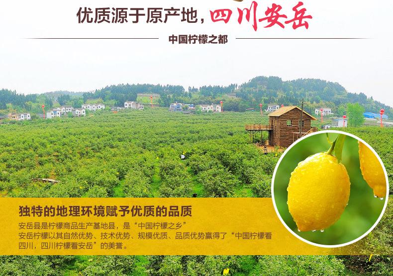 柠檬的食用价值,柠檬的营养价值与功效