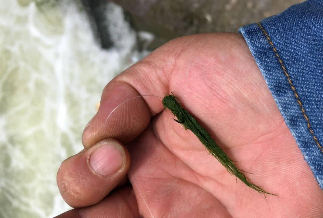 盘车冲钓赤尾,盘车冲钓青尾鲴