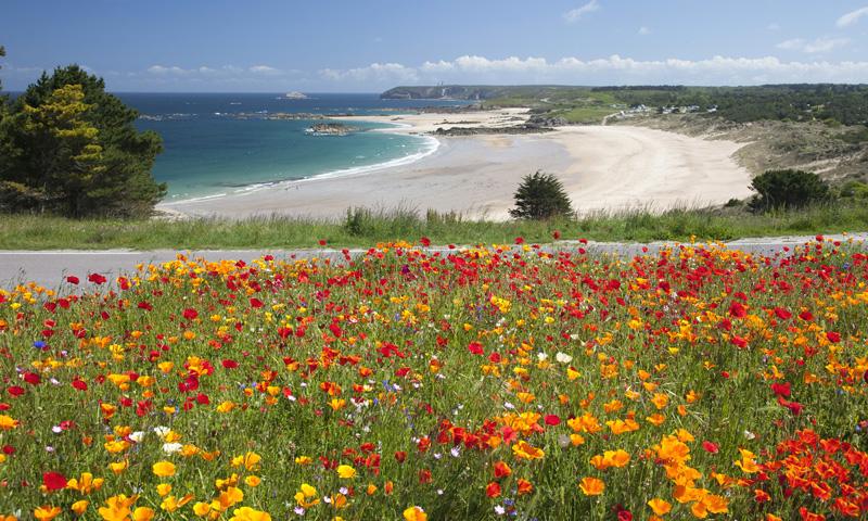 用心理学解锁创业困境,创业心理学的五种心理效应