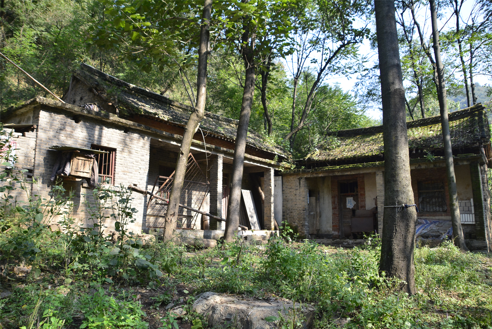 河南穷人的农村瓦房,河南老家穷人