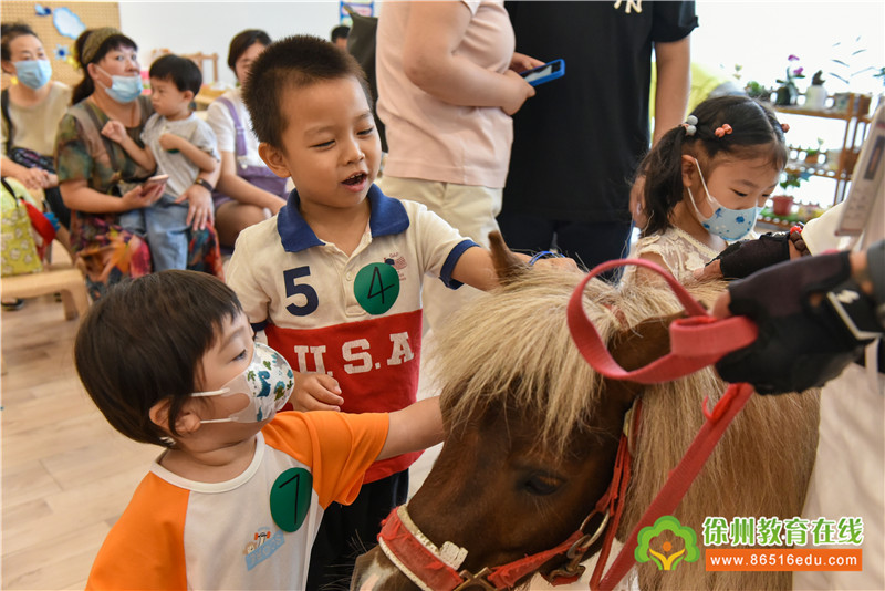 徐州树恩幼教国际艺术中心,树恩国际幼教艺术中心多少钱