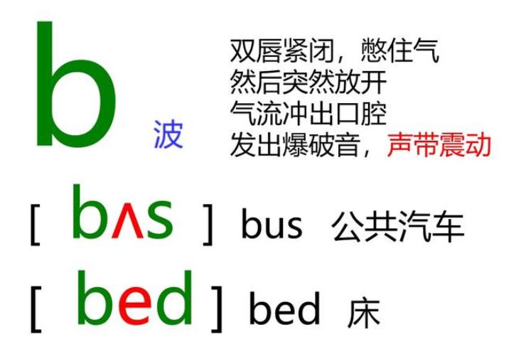48个音标怎样学习英语从零开始,英语48个国际音标外国人教
