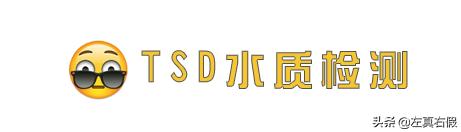 油皮痘肌水乳祛痘印,黛珂紫苏水油皮痘肌合适吗