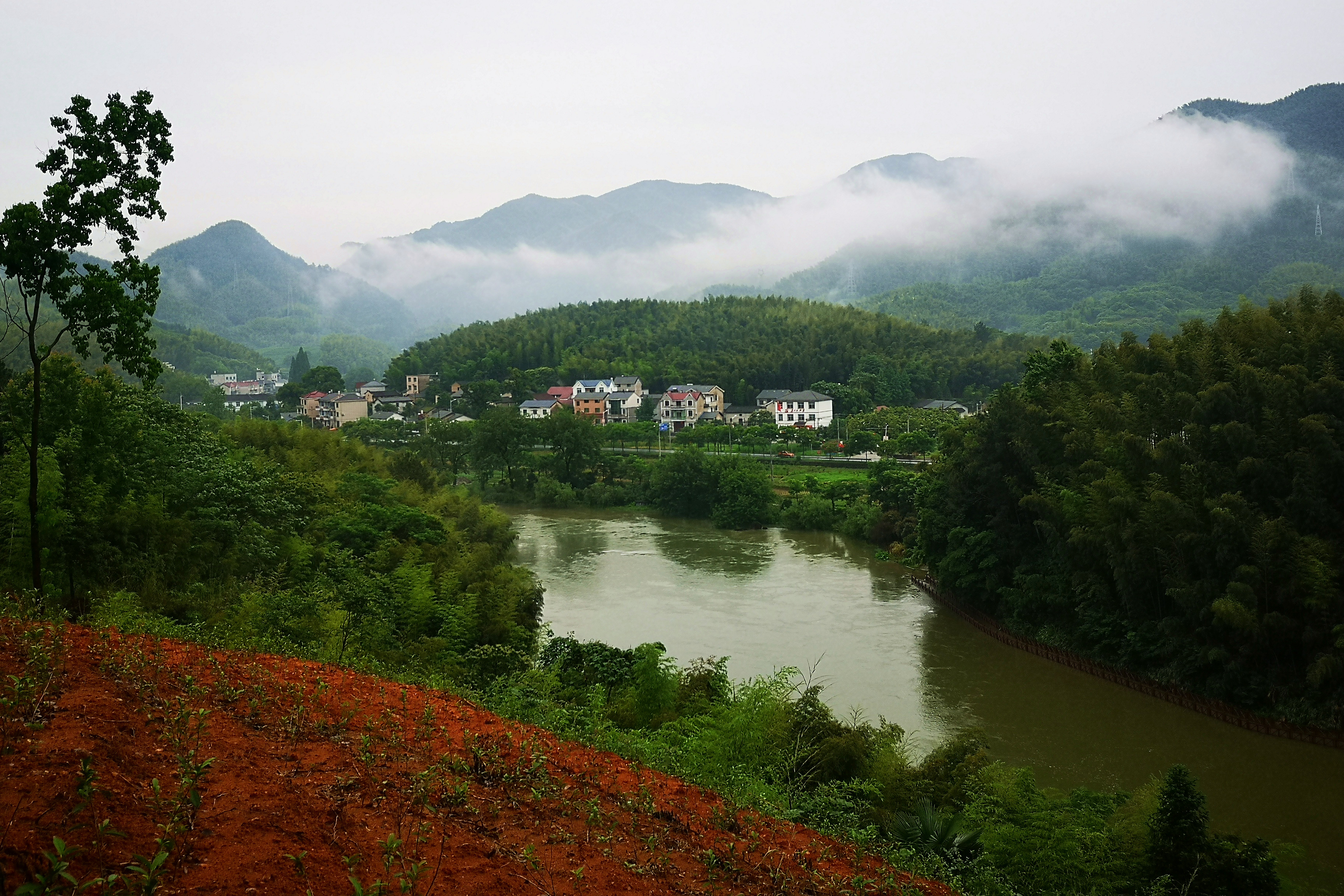 畲族是哪里的民族乡,畲族体验