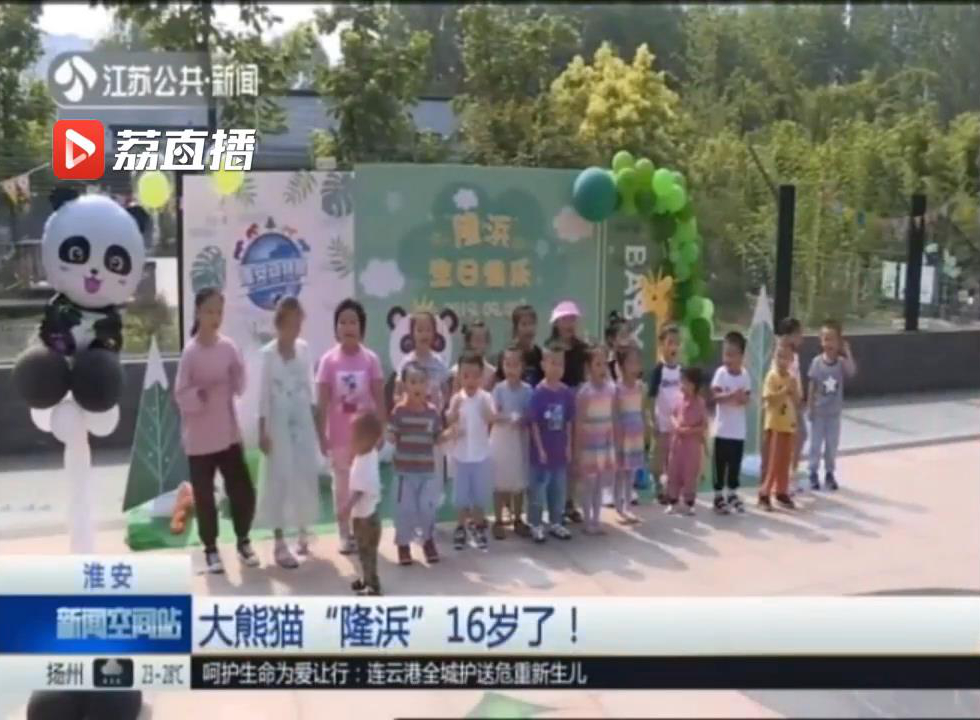 大熊猫生日快乐,淮安动物园大熊猫名字