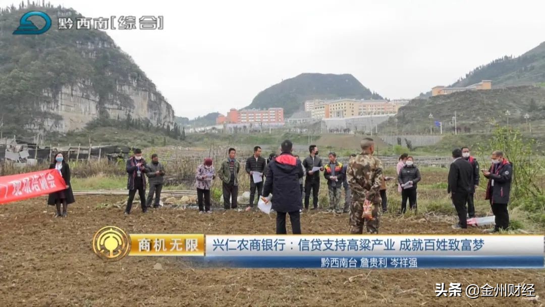 【电视版】兴仁农商银行:信贷支持高粱产业成就百姓致富梦