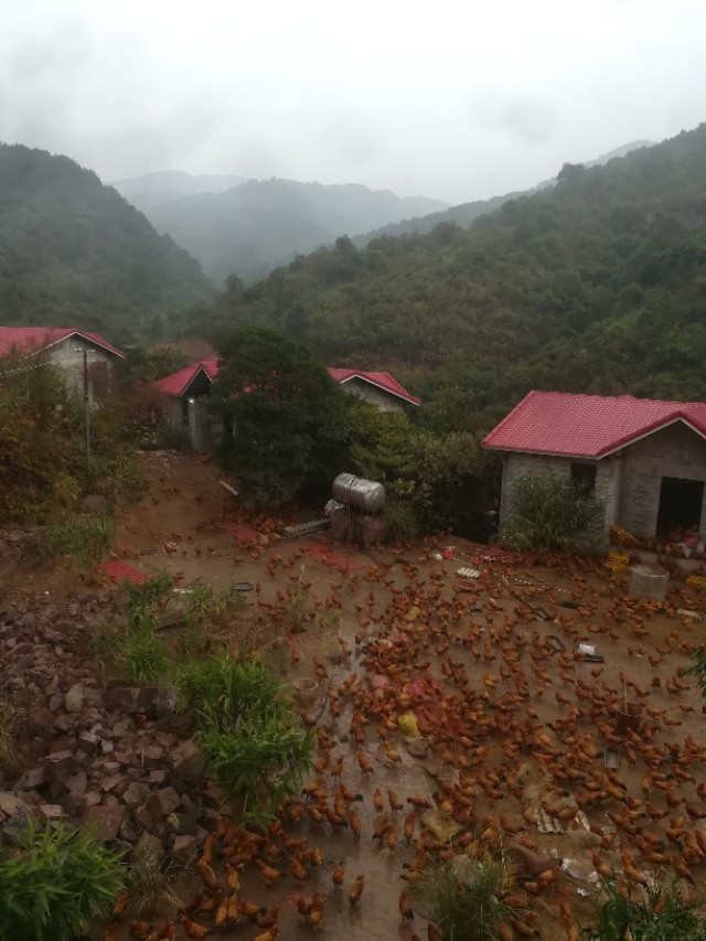 农村小作坊酿酒前景,开酒厂小作坊要多少成本