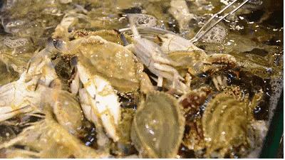 有一种炫富叫辽宁开海,在山东有一种炫富叫开海