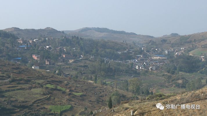 便民惠民!弥勒市第一家用水合作社这波操作太可以了!