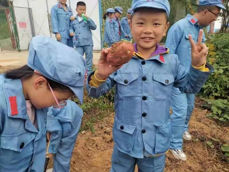岳阳红色基因传承拓展营地在哪里,岳阳红色基因传承拓展营地