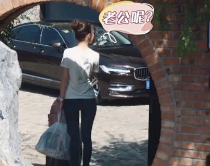 郎朗夫妇首上真人秀,郎朗夫妇撒狗粮