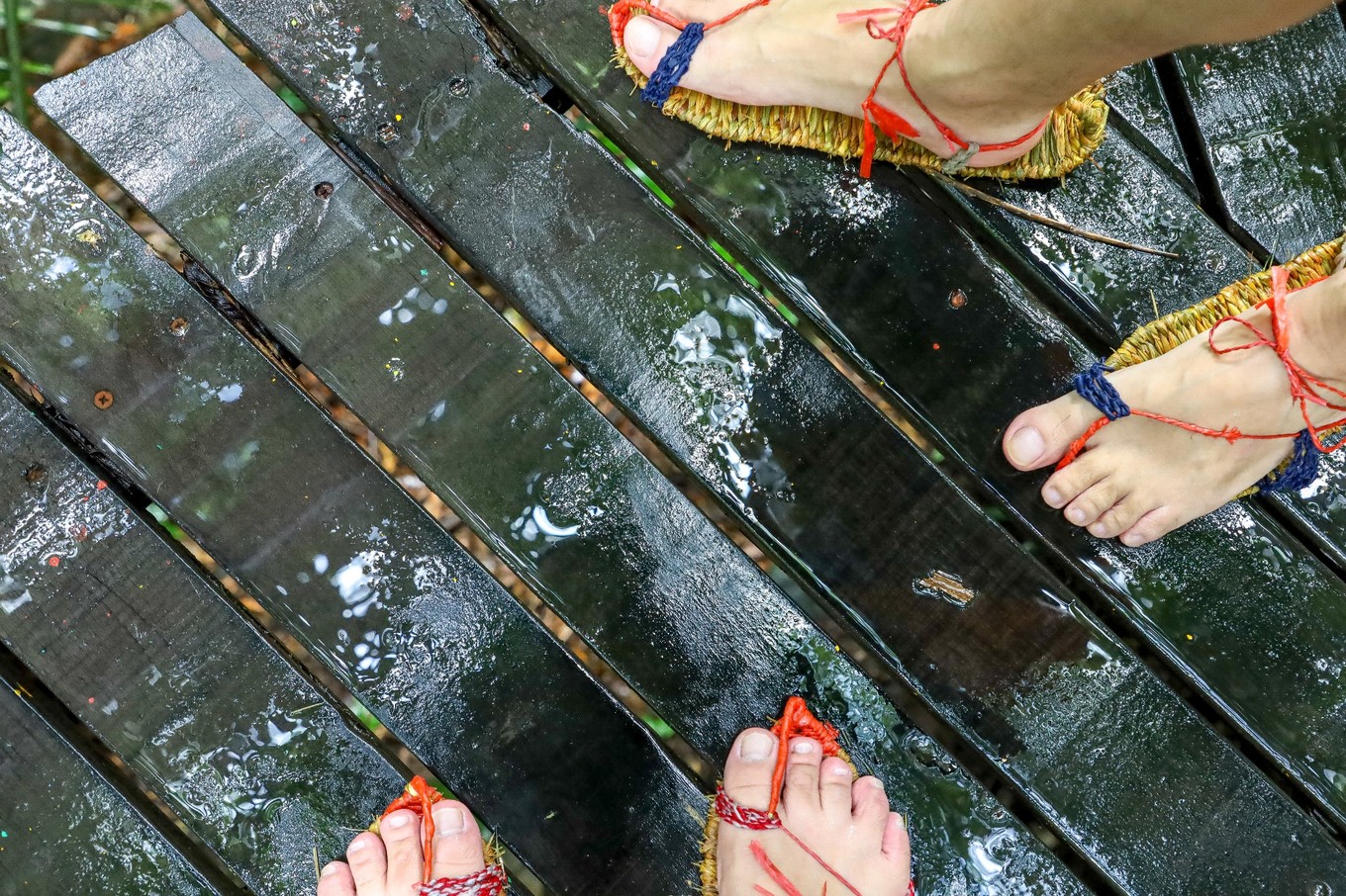 呀诺达雨林探险是什么,三亚呀诺达雨林正规吗