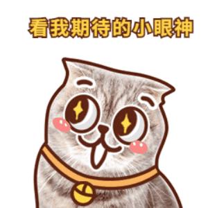 肇庆改造的5个地方,肇庆即将改造的路段