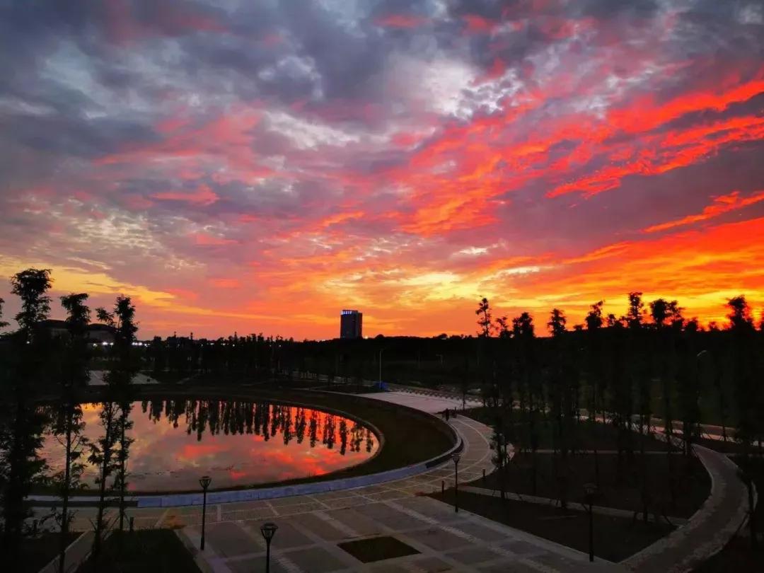 安徽省合肥师范学院2024招生简章,安徽省合肥师范学院今年投档线