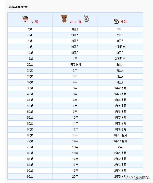 仓鼠怀孕注意事项和禁忌,仓鼠怀孕后一定要分开养吗