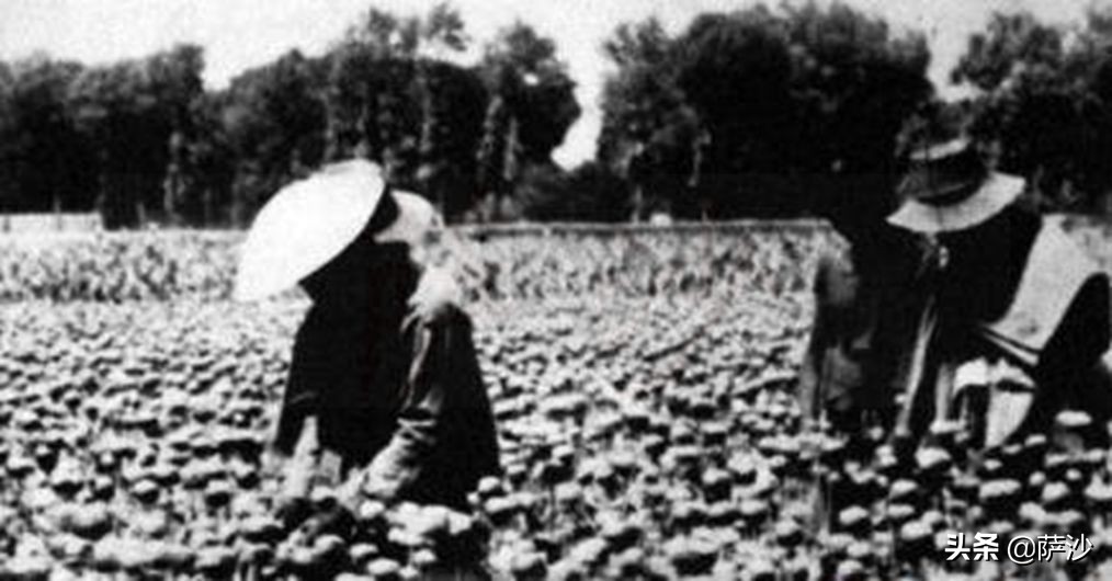 伪满洲国时期的公民过得怎么样,伪满洲国最后的结果