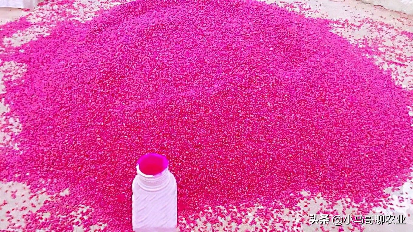 农民购买种子化肥注意事项,农民购买种子应注意问题