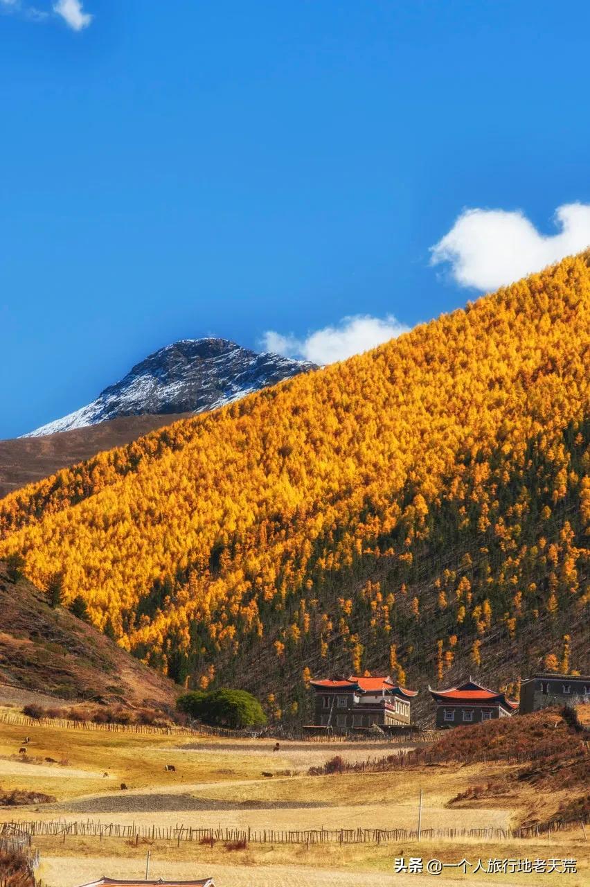 忽然想去自驾游了,想去川西看星空