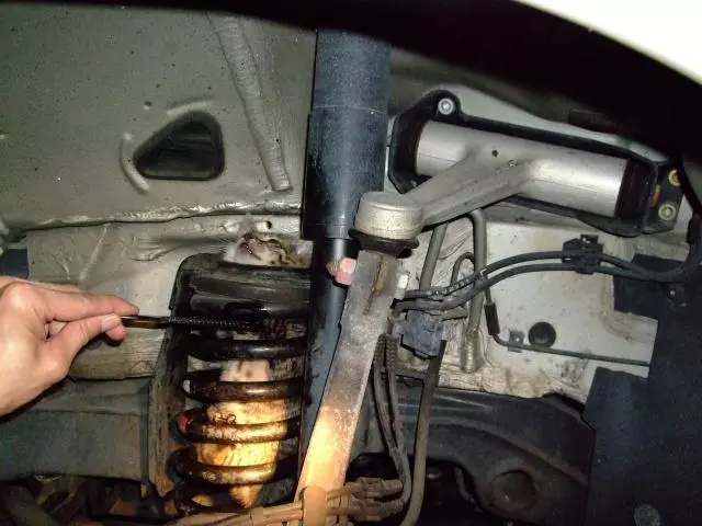 这个冬天流浪猫们要怎么度过,天冷了流浪猫