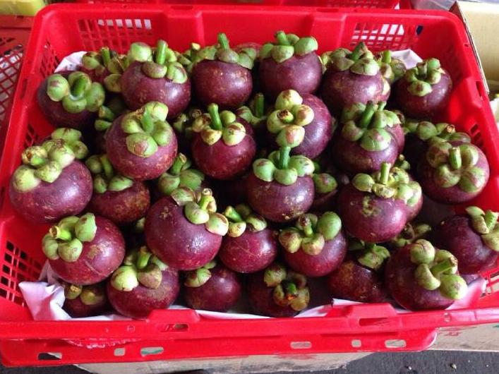 山竹怎么挑选果核少的,山竹怎么挑选公母